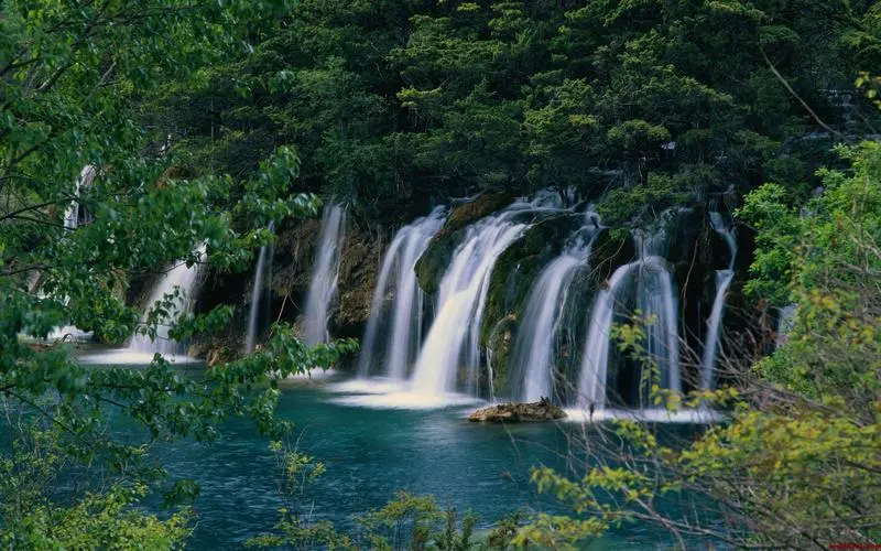 高端节能绿色